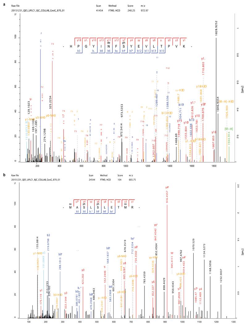 https://cdn.ncbi.nlm.nih.gov/pmc/blobs/e0a2/6894936/85c6300a35af/EMS84015-f009.jpg