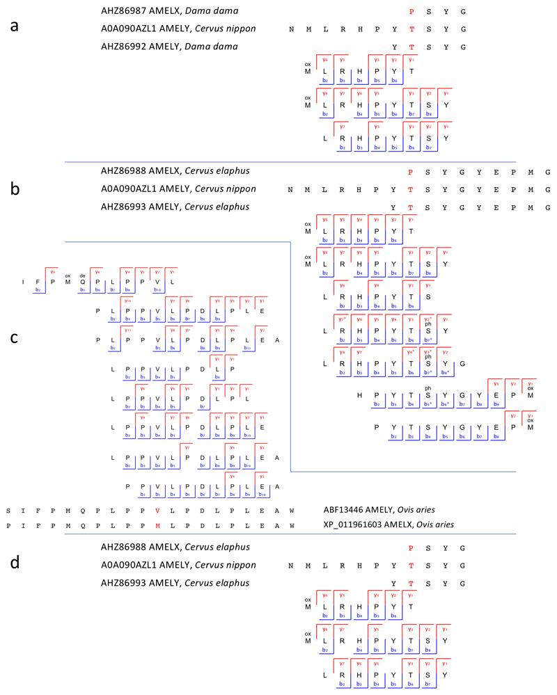 https://cdn.ncbi.nlm.nih.gov/pmc/blobs/e0a2/6894936/d1f582658aad/EMS84015-f011.jpg