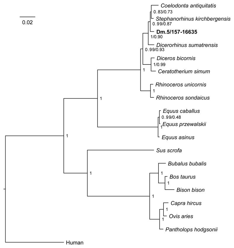 https://cdn.ncbi.nlm.nih.gov/pmc/blobs/e0a2/6894936/d8ecbca50491/EMS84015-f004.jpg