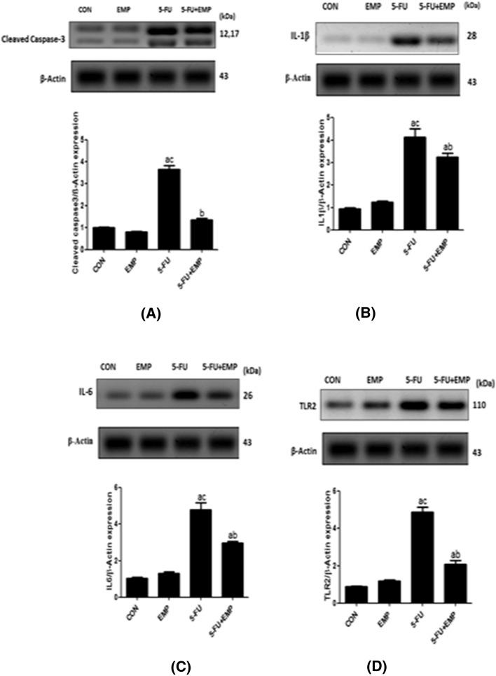 https://cdn.ncbi.nlm.nih.gov/pmc/blobs/e0a4/10786789/0e1d9a1c591c/43188_2023_204_Fig1_HTML.jpg