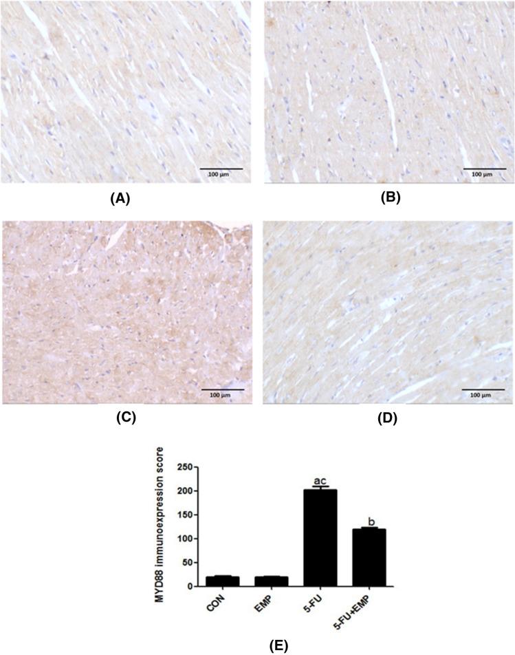 https://cdn.ncbi.nlm.nih.gov/pmc/blobs/e0a4/10786789/1d65e676f9b0/43188_2023_204_Fig3_HTML.jpg