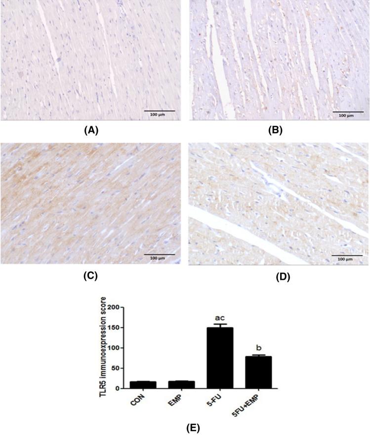 https://cdn.ncbi.nlm.nih.gov/pmc/blobs/e0a4/10786789/bad678a61f79/43188_2023_204_Fig4_HTML.jpg