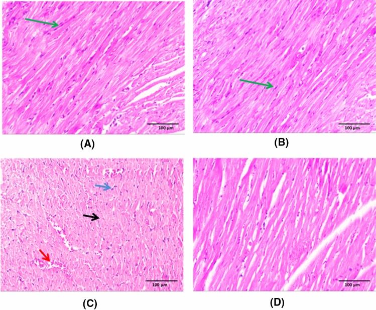 https://cdn.ncbi.nlm.nih.gov/pmc/blobs/e0a4/10786789/fa5f2256dfc6/43188_2023_204_Fig2_HTML.jpg
