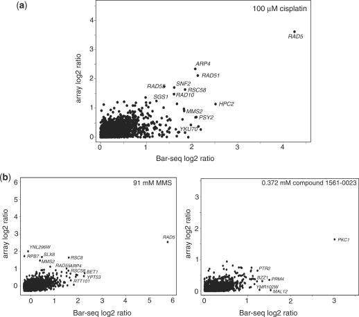 https://cdn.ncbi.nlm.nih.gov/pmc/blobs/e0a6/2910071/abaea859b916/gkq368f1.jpg
