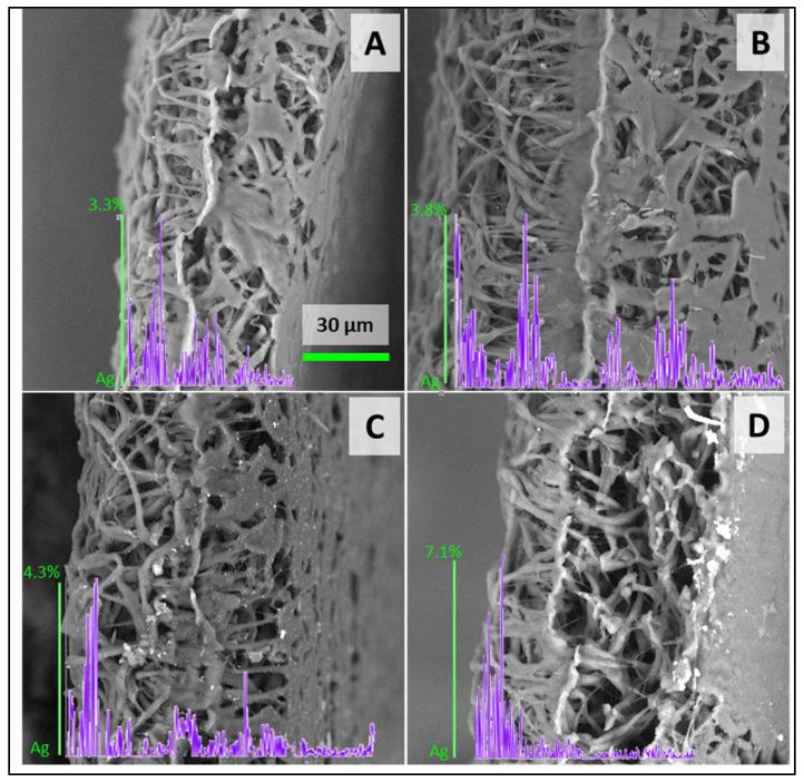 https://cdn.ncbi.nlm.nih.gov/pmc/blobs/e0a9/11207988/0da7673e4e21/polymers-16-01729-g005.jpg