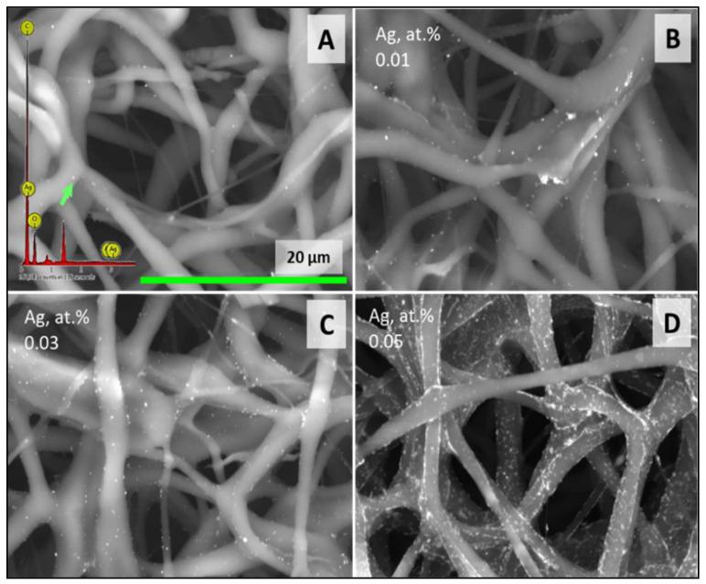 https://cdn.ncbi.nlm.nih.gov/pmc/blobs/e0a9/11207988/21c212bcaf2b/polymers-16-01729-g004.jpg