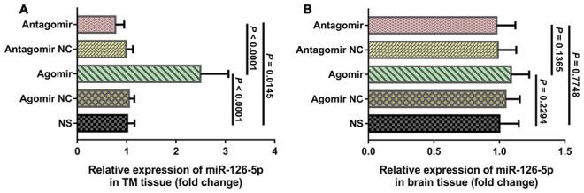 https://cdn.ncbi.nlm.nih.gov/pmc/blobs/e0aa/7377842/591277fab1f5/aging-12-103431-g006.jpg