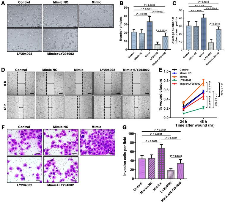 https://cdn.ncbi.nlm.nih.gov/pmc/blobs/e0aa/7377842/b49783b42c10/aging-12-103431-g003.jpg
