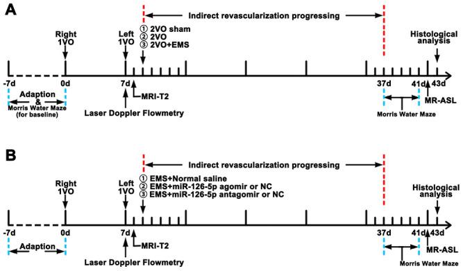 https://cdn.ncbi.nlm.nih.gov/pmc/blobs/e0aa/7377842/d2d502d2d6bc/aging-12-103431-g014.jpg