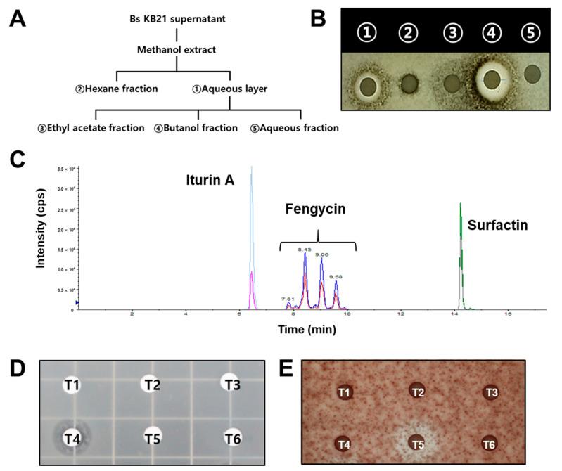 https://cdn.ncbi.nlm.nih.gov/pmc/blobs/e0aa/9102045/d0fa13a88cd7/plants-11-01267-g005.jpg