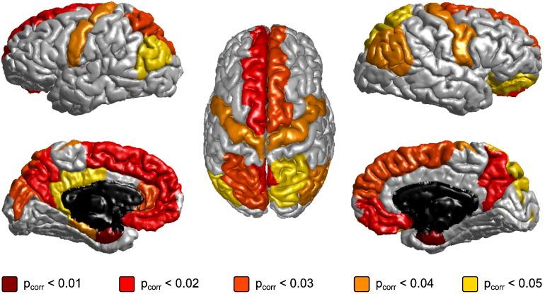 https://cdn.ncbi.nlm.nih.gov/pmc/blobs/e0ab/4711395/ab183478aca8/gr2.jpg