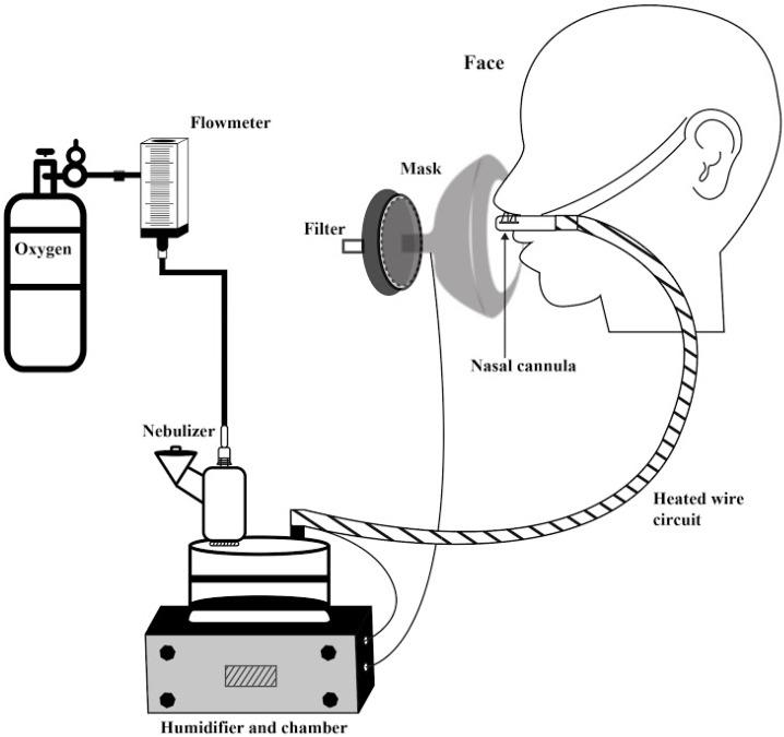 https://cdn.ncbi.nlm.nih.gov/pmc/blobs/e0ac/6680424/6d9c4416ce8a/pharmaceutics-11-00320-g002.jpg