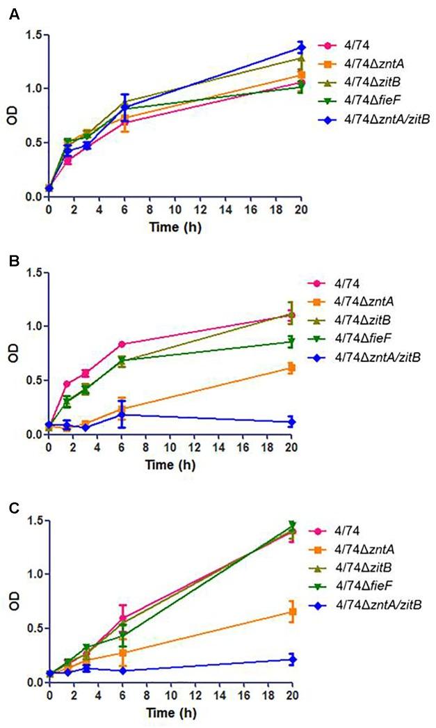 https://cdn.ncbi.nlm.nih.gov/pmc/blobs/e0ad/5768658/a931ce378a69/fmicb-08-02656-g001.jpg