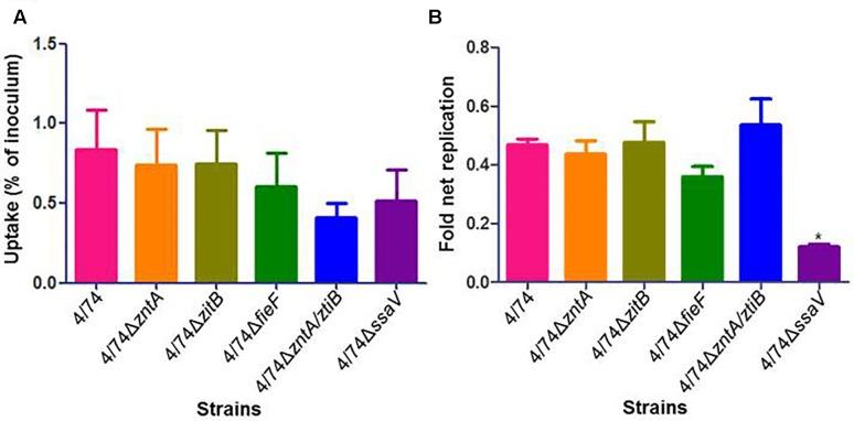 https://cdn.ncbi.nlm.nih.gov/pmc/blobs/e0ad/5768658/d1ee257244dd/fmicb-08-02656-g002.jpg