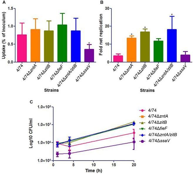 https://cdn.ncbi.nlm.nih.gov/pmc/blobs/e0ad/5768658/f00308e42fac/fmicb-08-02656-g004.jpg