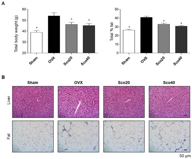 https://cdn.ncbi.nlm.nih.gov/pmc/blobs/e0ad/7698923/5bdc9782c411/ijms-21-08699-g003.jpg