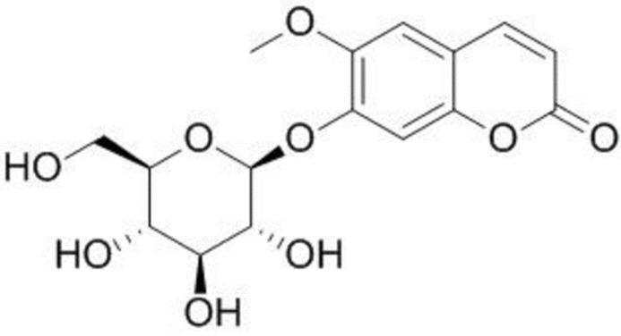 https://cdn.ncbi.nlm.nih.gov/pmc/blobs/e0ad/7698923/a3f6fd757858/ijms-21-08699-g001.jpg