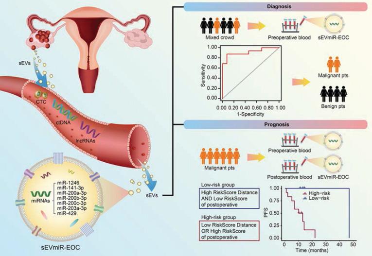 https://cdn.ncbi.nlm.nih.gov/pmc/blobs/e0ae/12036879/0b98a1f5848a/thnov15p5277g005.jpg