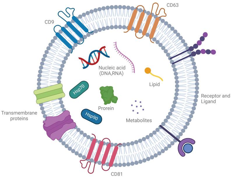 https://cdn.ncbi.nlm.nih.gov/pmc/blobs/e0ae/12036879/695559603758/thnov15p5277g001.jpg