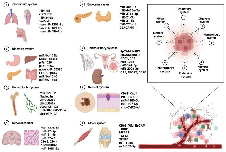 https://cdn.ncbi.nlm.nih.gov/pmc/blobs/e0ae/12036879/ea34dc657482/thnov15p5277g004.jpg