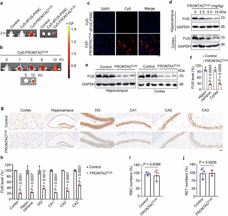 https://cdn.ncbi.nlm.nih.gov/pmc/blobs/e0b1/12092677/e510b887a9dc/41467_2025_60039_Fig5_HTML.jpg