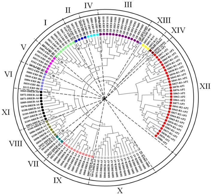 https://cdn.ncbi.nlm.nih.gov/pmc/blobs/e0b1/4630570/16a3f3fbdbd5/fpls-06-00952-g0003.jpg