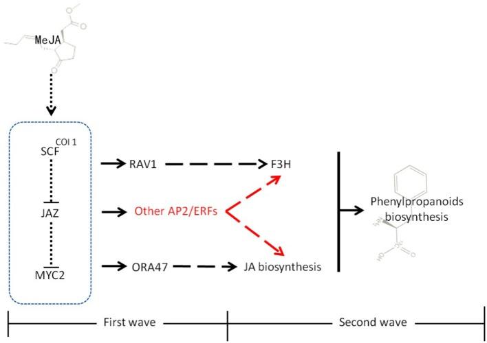 https://cdn.ncbi.nlm.nih.gov/pmc/blobs/e0b1/4630570/8e19ed5b62cf/fpls-06-00952-g0009.jpg