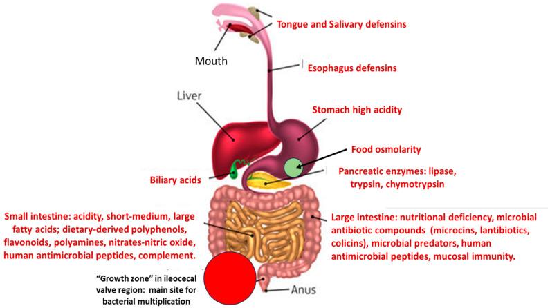 https://cdn.ncbi.nlm.nih.gov/pmc/blobs/e0b2/10812938/5106fdf2dff3/biomolecules-14-00076-g001.jpg