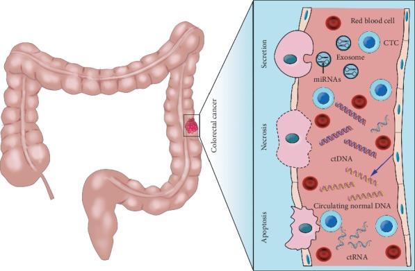https://cdn.ncbi.nlm.nih.gov/pmc/blobs/e0b3/7085834/8f677574c0d0/BMRI2020-6843180.001.jpg