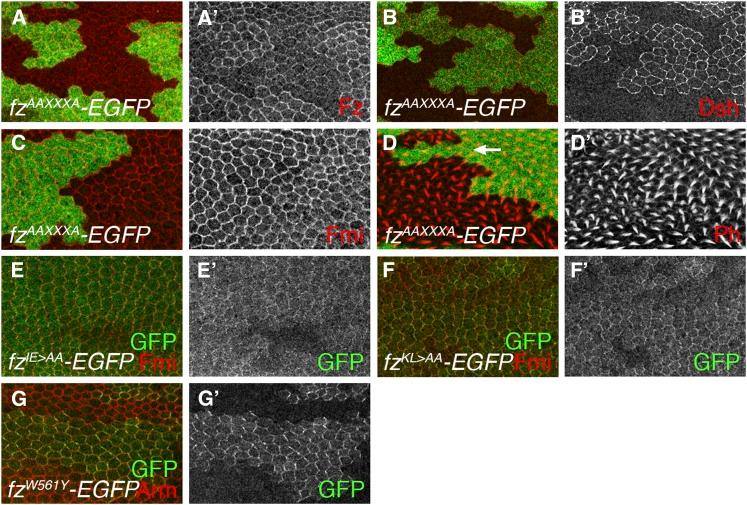 https://cdn.ncbi.nlm.nih.gov/pmc/blobs/e0b6/3512140/88d0c89879c1/1295fig7.jpg