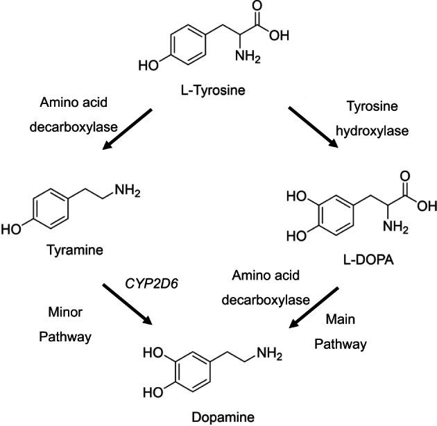https://cdn.ncbi.nlm.nih.gov/pmc/blobs/e0b8/10315388/0b8323449b4e/JMD2-64-282-g001.jpg