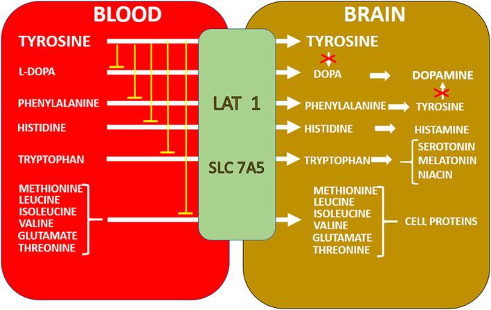 https://cdn.ncbi.nlm.nih.gov/pmc/blobs/e0b8/10315388/c54483a3343f/JMD2-64-282-g004.jpg