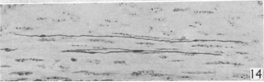 https://cdn.ncbi.nlm.nih.gov/pmc/blobs/e0bf/1252744/3a57c91a7434/janat00508-0077-h.jpg