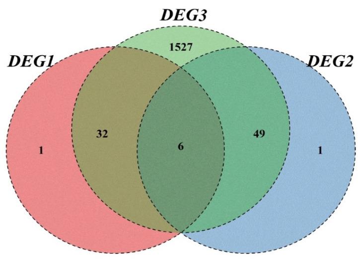 https://cdn.ncbi.nlm.nih.gov/pmc/blobs/e0bf/9227993/48ac3540191b/plants-11-01568-g003.jpg