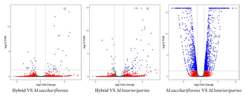 https://cdn.ncbi.nlm.nih.gov/pmc/blobs/e0bf/9227993/987d70094fe8/plants-11-01568-g002.jpg