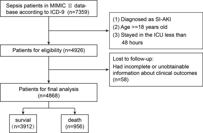 https://cdn.ncbi.nlm.nih.gov/pmc/blobs/e0c0/12145314/56f910d084d2/10238_2025_1681_Fig1_HTML.jpg