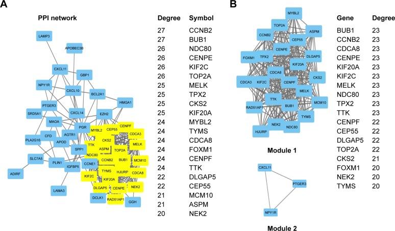 https://cdn.ncbi.nlm.nih.gov/pmc/blobs/e0c5/6388944/7e759769a538/ott-12-1319Fig3.jpg