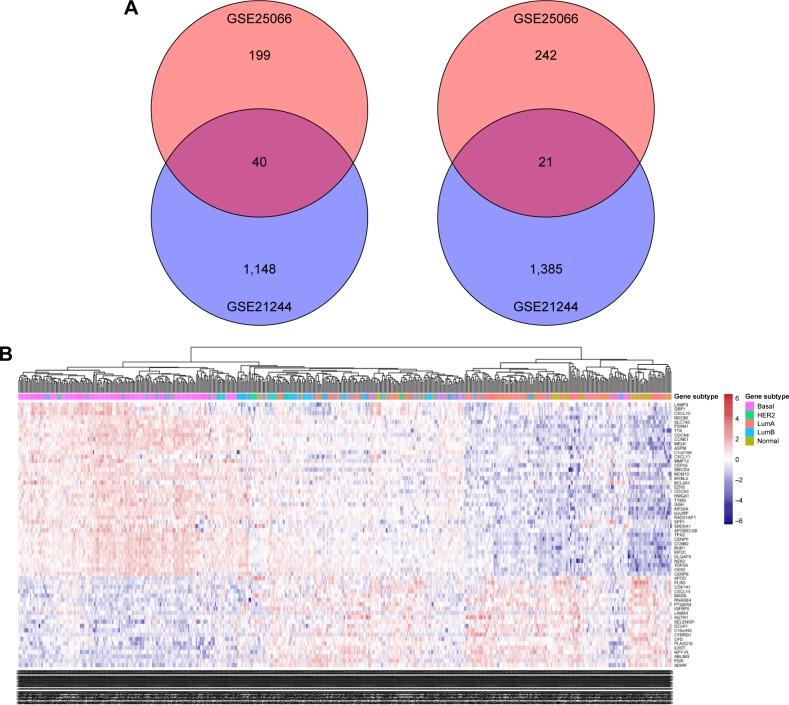 https://cdn.ncbi.nlm.nih.gov/pmc/blobs/e0c5/6388944/b86266d0f7bf/ott-12-1319Fig1.jpg