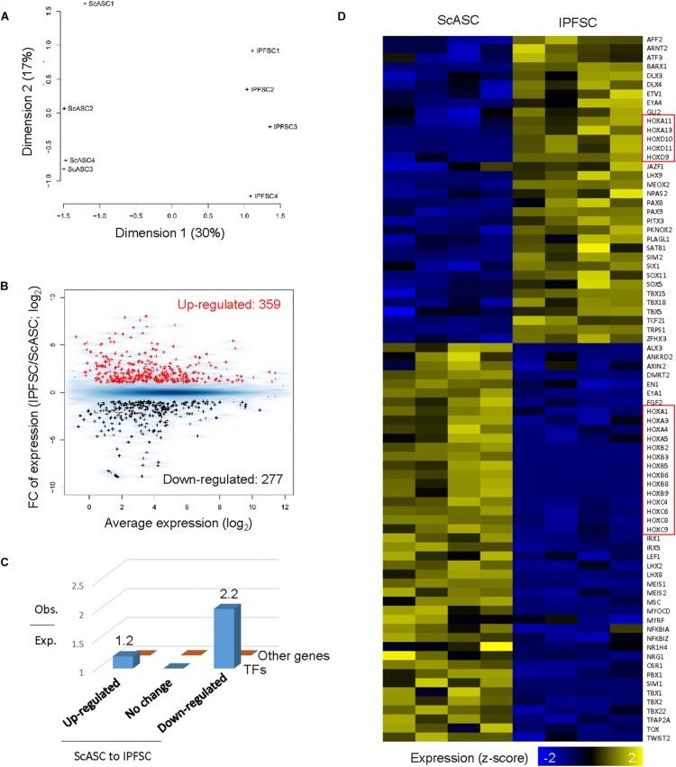 https://cdn.ncbi.nlm.nih.gov/pmc/blobs/e0c6/7174673/b1f97594f689/fcell-08-00237-g004.jpg