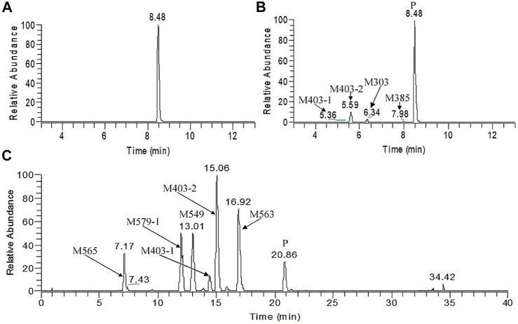 https://cdn.ncbi.nlm.nih.gov/pmc/blobs/e0c8/8689140/1a86a7653208/fphar-12-770377-g005.jpg