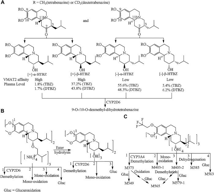 https://cdn.ncbi.nlm.nih.gov/pmc/blobs/e0c8/8689140/57dc2c9644b1/fphar-12-770377-g001.jpg