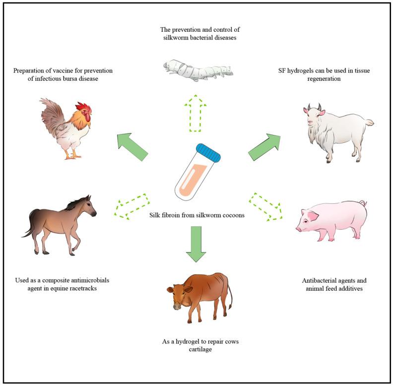 https://cdn.ncbi.nlm.nih.gov/pmc/blobs/e0c9/10885876/023a147a972e/animals-14-00655-g002.jpg