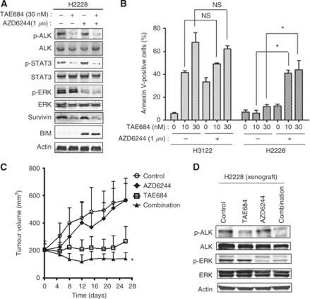 https://cdn.ncbi.nlm.nih.gov/pmc/blobs/e0c9/3322944/f33e92285034/bjc2011586f3.jpg