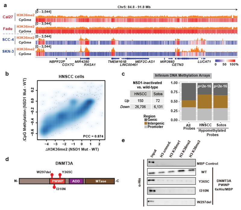 https://cdn.ncbi.nlm.nih.gov/pmc/blobs/e0c9/6742567/232c9c7fe4ce/nihms-1536823-f0004.jpg