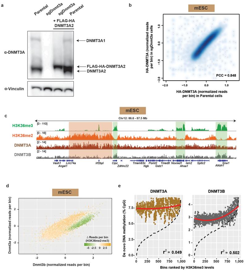 https://cdn.ncbi.nlm.nih.gov/pmc/blobs/e0c9/6742567/4e124545e295/nihms-1536823-f0007.jpg