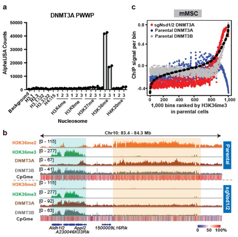 https://cdn.ncbi.nlm.nih.gov/pmc/blobs/e0c9/6742567/5fb606216c18/nihms-1536823-f0003.jpg