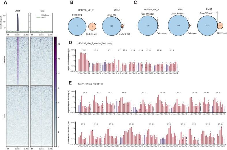 https://cdn.ncbi.nlm.nih.gov/pmc/blobs/e0cb/11983105/40ae1aee482a/gkaf281fig3.jpg