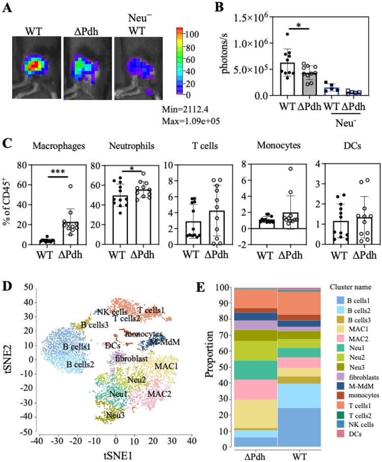 https://cdn.ncbi.nlm.nih.gov/pmc/blobs/e0cd/10775361/0b3c92cef8d7/nihpp-rs3689163v1-f0002.jpg