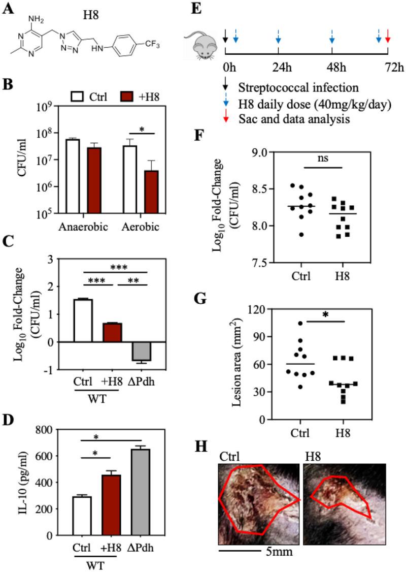 https://cdn.ncbi.nlm.nih.gov/pmc/blobs/e0cd/10775361/361e8809a414/nihpp-rs3689163v1-f0006.jpg