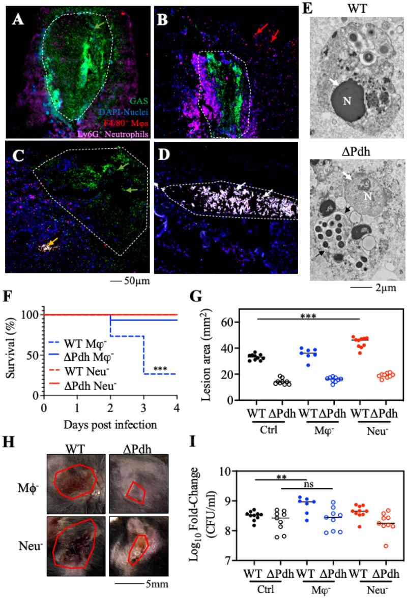 https://cdn.ncbi.nlm.nih.gov/pmc/blobs/e0cd/10775361/6e8e29d9822c/nihpp-rs3689163v1-f0003.jpg